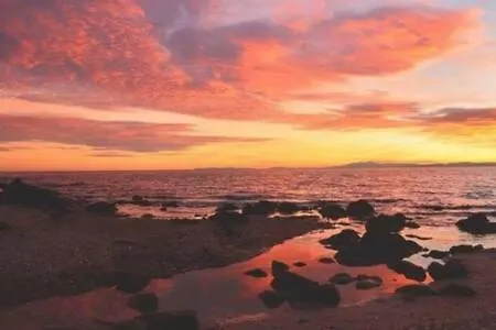 Super Mini Loft Avec Cinema Et Jardin - Cap D'agde *